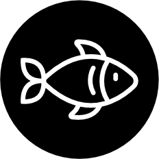 Pescado